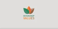 intercrop.JPG