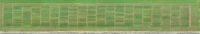 Phenorob-field-experiment.jpg