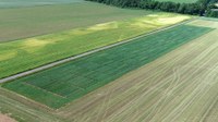 Ueberblick_Phenorob_S17_03_Juni_2020_1.jpg