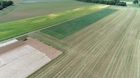 Ueberblick_Phenorob_S17_03_Juni_2020_2.jpg