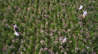DJI_0004-3.jpg