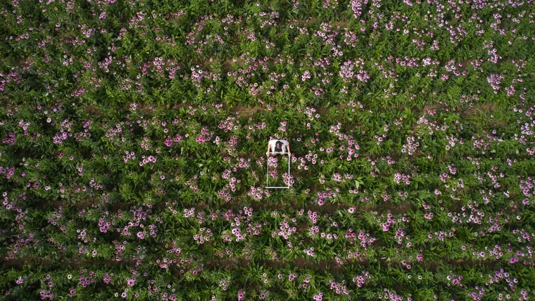 DJI_0996-3.jpg